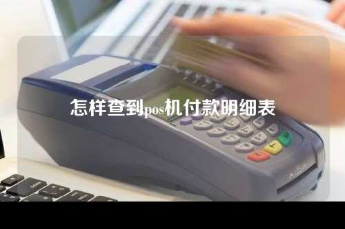 怎样查到pos机付款明细表(怎样查到pos机付款明细表呢)